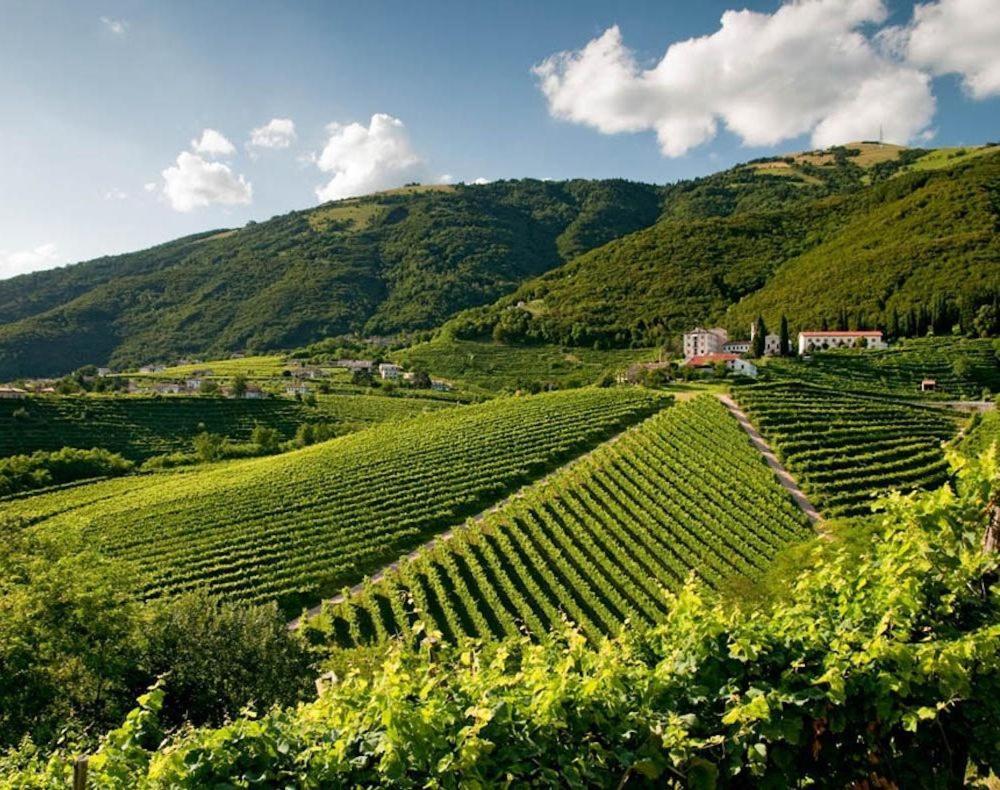 Follinetta10 - Enjoy Holiday Home In The Prosecco Hills Follina Exterior foto